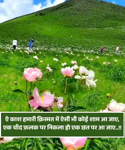 Chand Shayari  