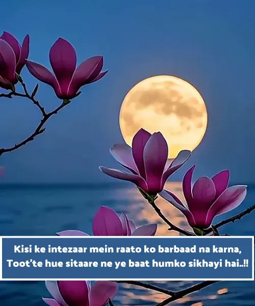 Moon Shayari in English