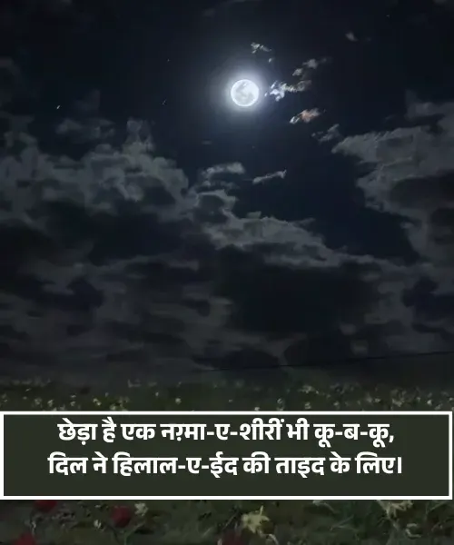 Moon Shayari
