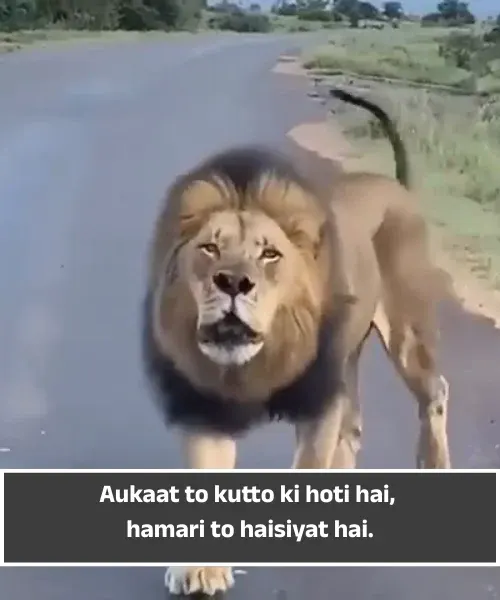 1 Line Attitude Shayari in English