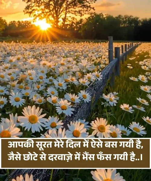 2 Line Funny Shayari