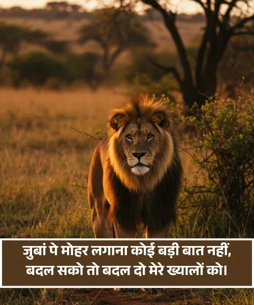 Attitude Nafrat Shayari