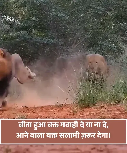 Attitude Shayari Attitude Shayari