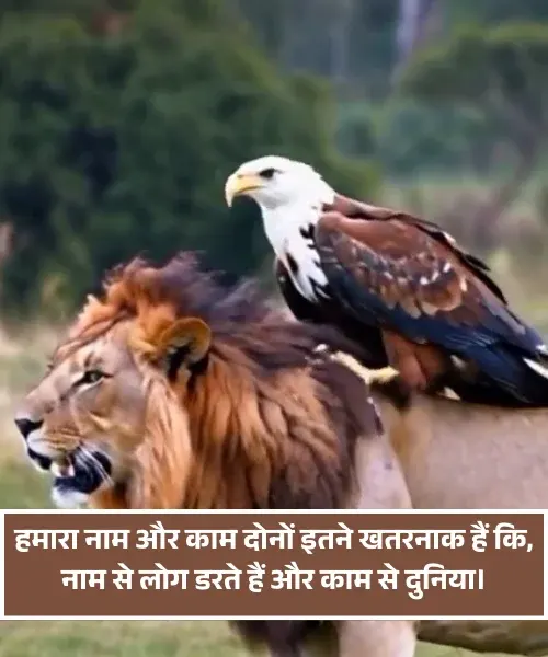 Attitude Shayari Attitude Shayari