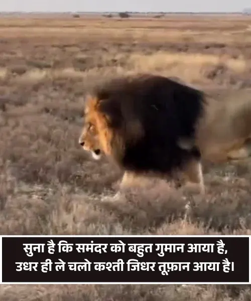 Attitude Shayari Boy Attitude Shayari Boy