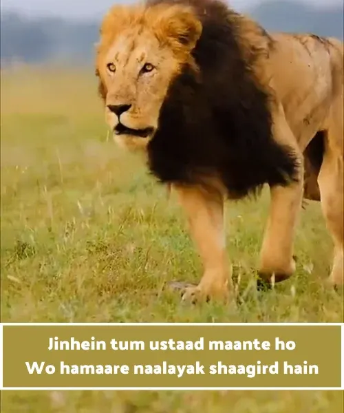 Attitude Shayari in English