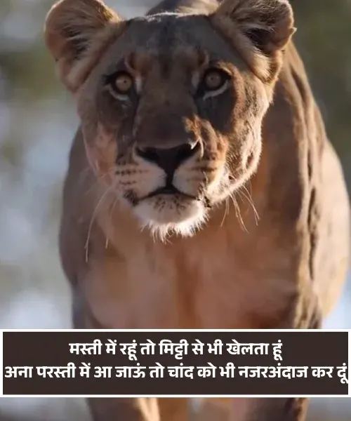 Attitude Shayari in Hindi