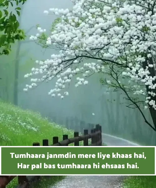 Birthday Shayari in English