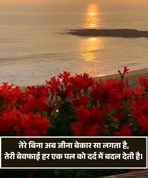 Boy Dard Bhari Bewafa Shayari