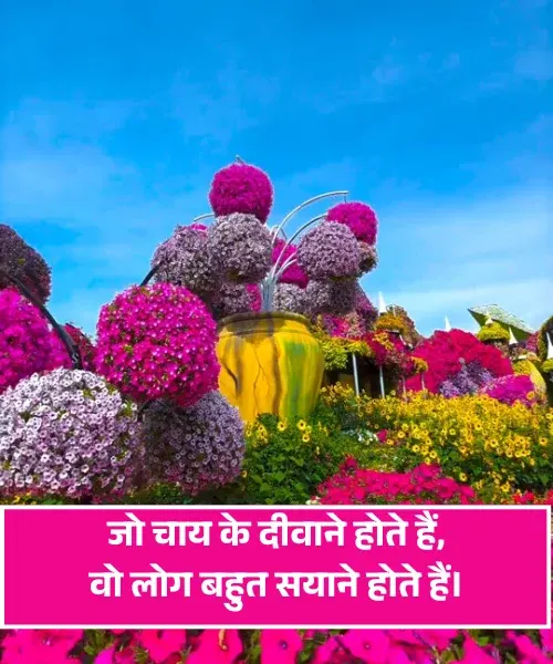 Chai Lover Shayari