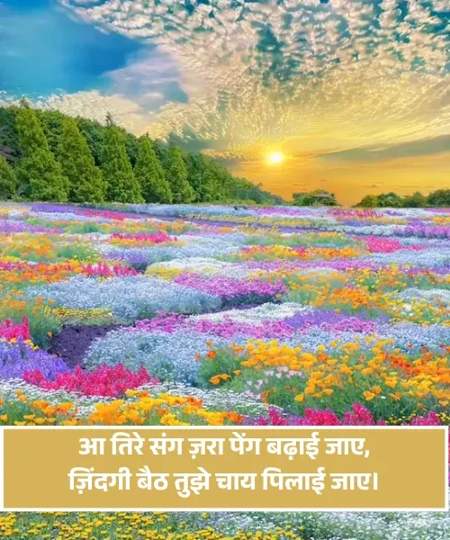 Chai Shayari