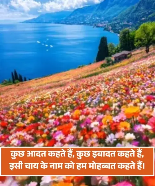 Chai Shayari