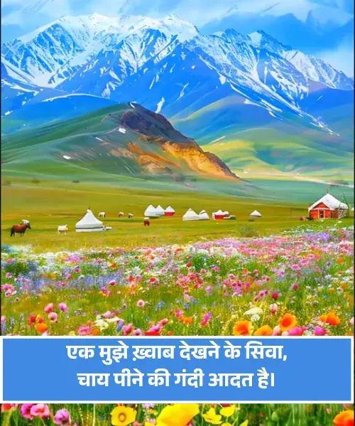 Chai Shayari
