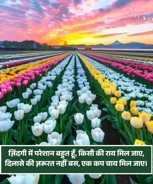 Chai Shayari