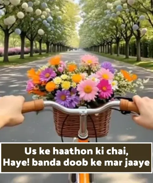 Chai Shayari in English
