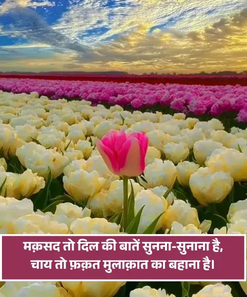 Chai Shayari in Hindi