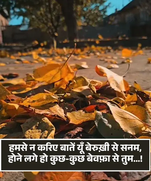 Dard Bhari Bewafa Shayari
