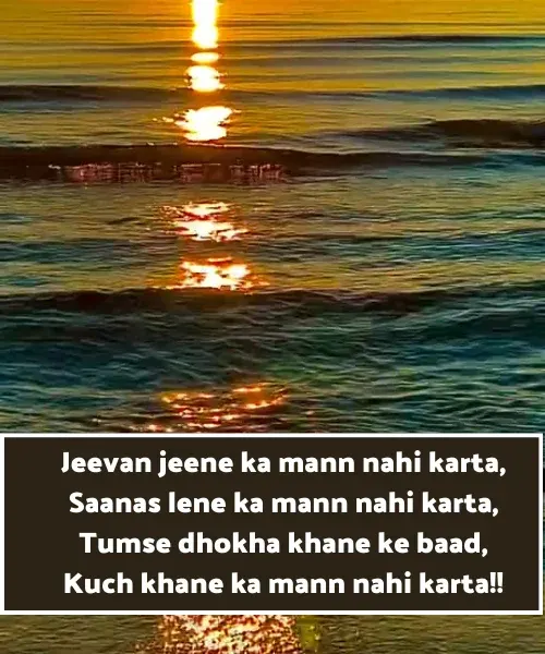 Dhoka Shayari in English