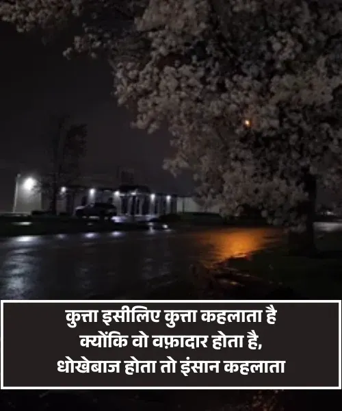 Dhoka Shayari
