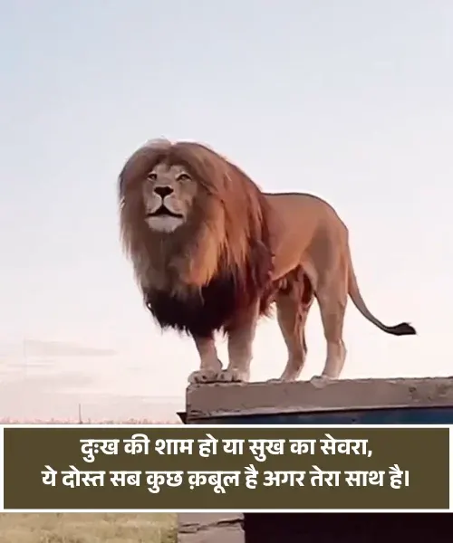 Dosti Shayari Attitude