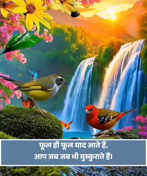 Flower Shayari