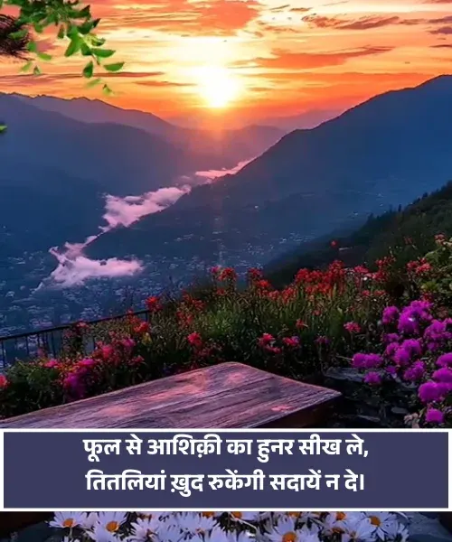 Flower Shayari Flower Shayari