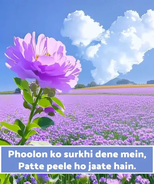 Flower Shayari in English Flower Shayari in English