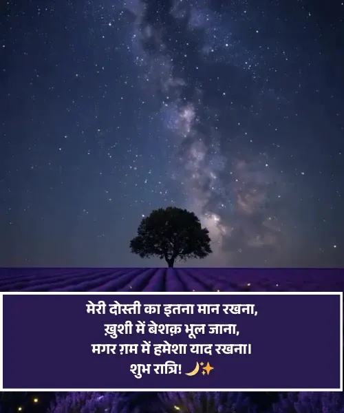 Friends Good Night Shayari