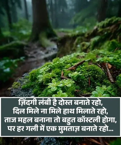  Funny Shayari 
