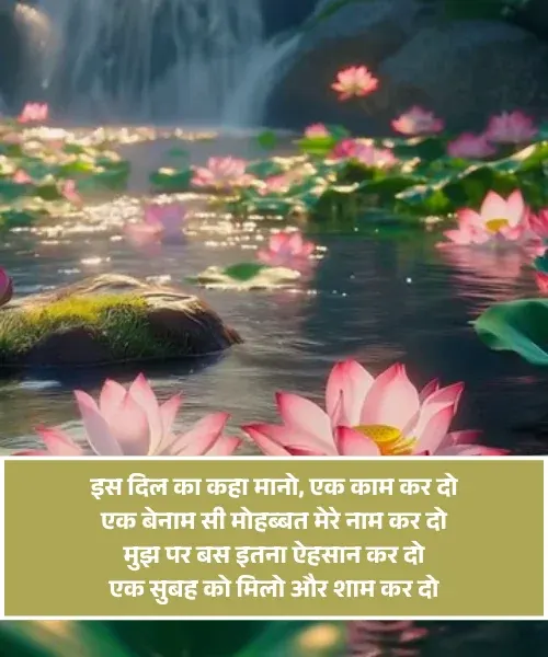  Good Morning Shayari