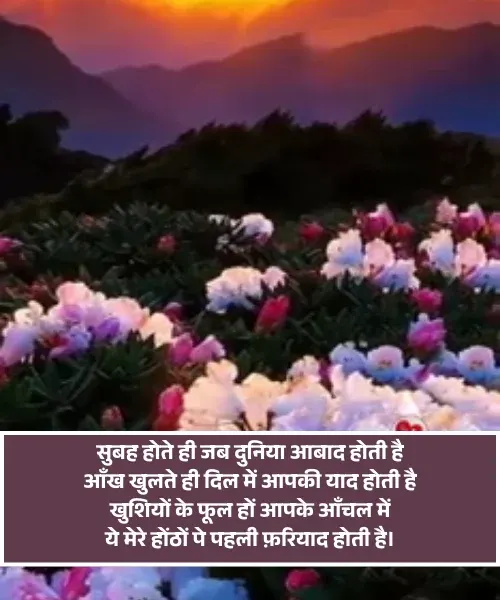  Good Morning Shayari