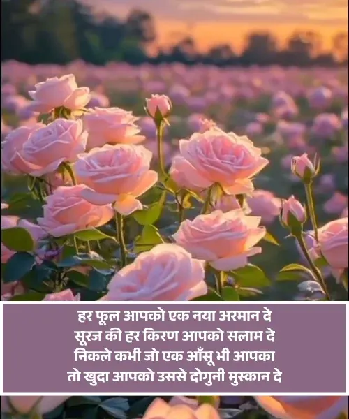  Good Morning Shayari