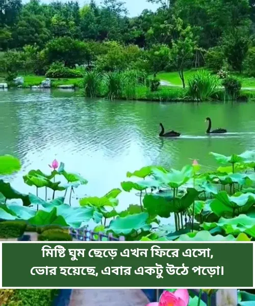 Good Morning Shayari Bengali