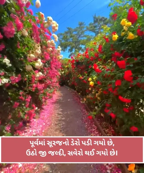 Good Morning Shayari Gujarati