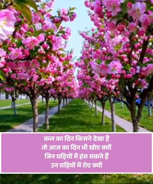 Good Morning Shayari in Hindi