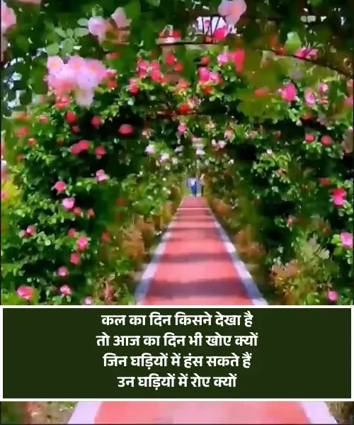 Good Morning Shayari Love