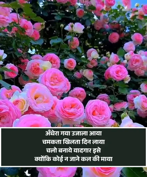 Good Morning Shayari with Images