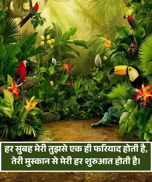  Good Morning Shayari