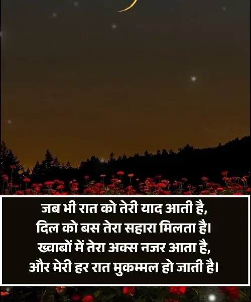 Good Night Shayari