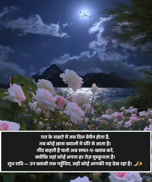 Good Night Shayari