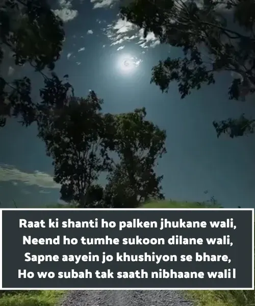 Good Night Shayari in English