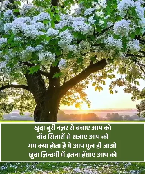 Happy Birthday Wishes in Hindi Shayari