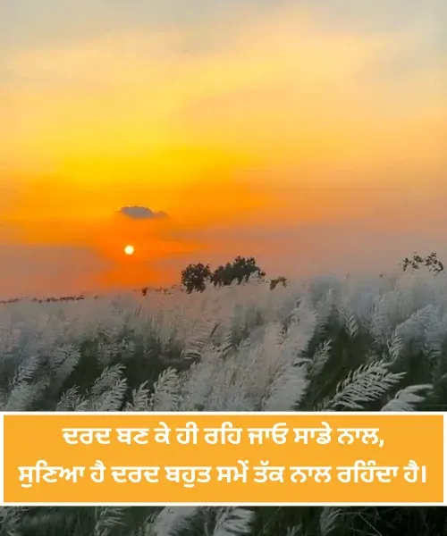 Heart Touching Punjabi Shayari
