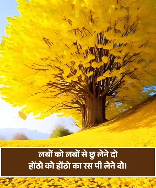 Hot Romantic Shayari