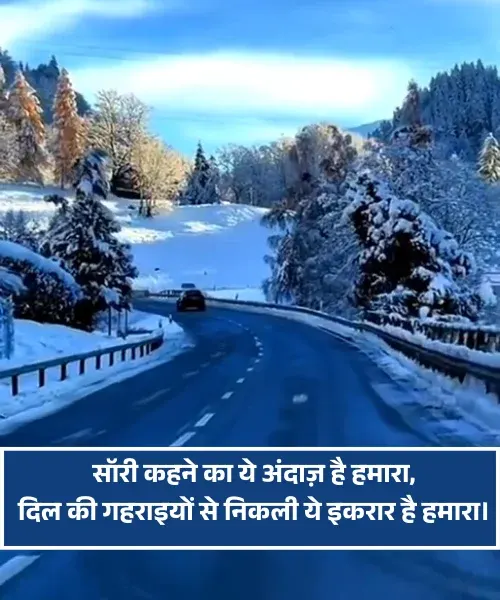 Hurt Sorry Shayari