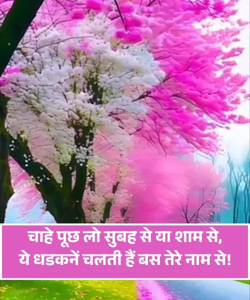 Husband Wife Shayari in Hindi