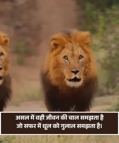 Instagram Attitude Shayari