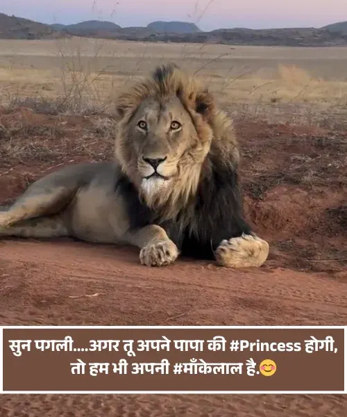 King Attitude Shayari