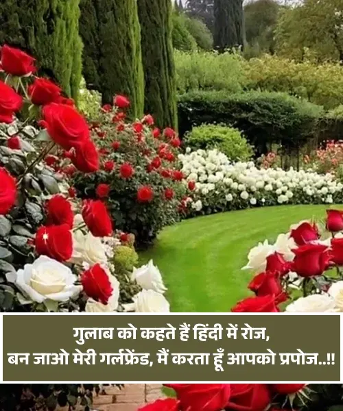 Ladki Ko Propose Kaise Kare Shayari Ladki Ko Propose Kaise Kare Shayari