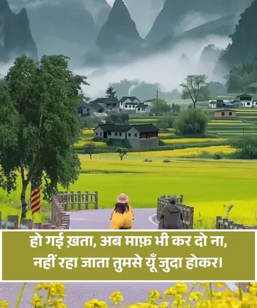 Love True Love Sorry Shayari